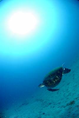 �����@�O�l